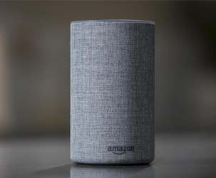 Amazon and Google To Invest in Avia’s Voice Assistant