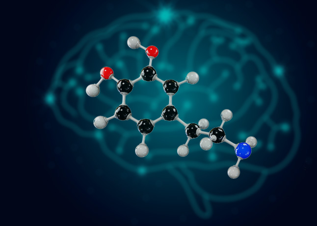 Dopamine Can be Willfully Controlled; New Study Reveals