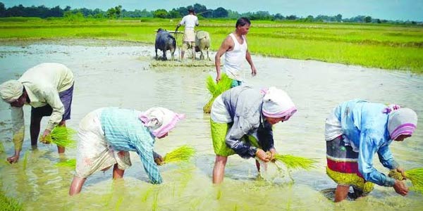 Indian Agritech Startup Kamatan Secures INR 30 Cr Financing