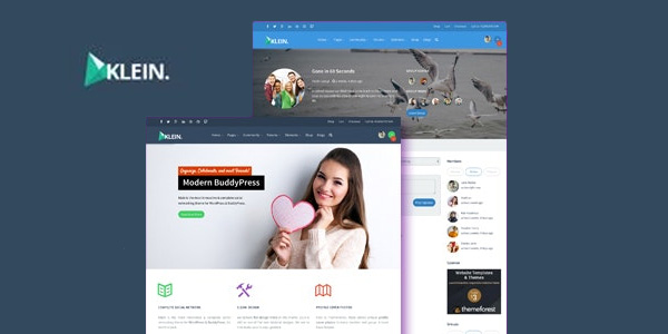 Klein---A-Nitty-Gritty-Community-Theme--BuddyPress
