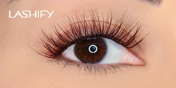 Lashify Offers DIY Lash Extensions To Change Your Life