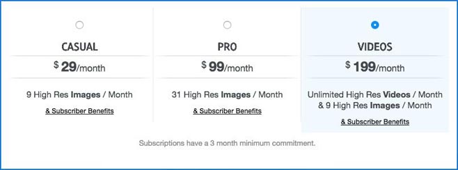 Placeit Pricing Placeit Pricing