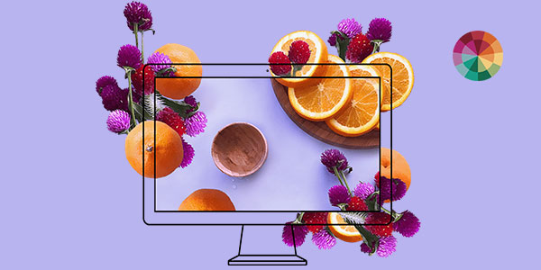 With A Color Story App Take Your Instagram Game At Next Level