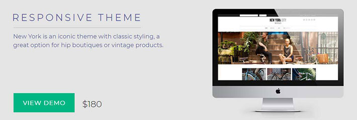 responsive-theme responsive-theme