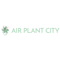 Air Plant City Coupons