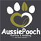 Aussie Pooch
