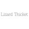 Lizard Thicket Boutique