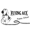 Flyingace