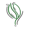 Nikitovka Seeds Coupons Nikitovka Seeds Coupons