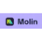 Molin AI Coupons Molin AI Coupons