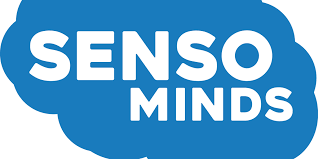 Senso Minds