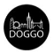 Citydoggo
