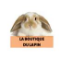La Boutique Du Lapin Coupons La Boutique Du Lapin Coupons