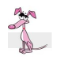Little Pink Dog Collars Little Pink Dog Collars
