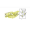Olister Coupons Olister Coupons