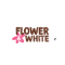 Flower And White Coupons