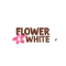 Flower And White