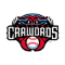 Hickory Crawdads Baseball
