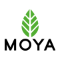 Moya Matcha