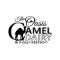 Oasis Camel Dairy Coupons