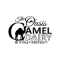 Oasis Camel Dairy