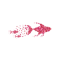 Pink Fishes Coupons