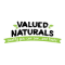 Valued Naturals